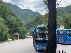 -牛背梁国家森林公园