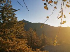 -南雄冯屋银杏山庄