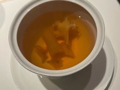 -觀芷隐轩