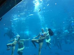 -瑞德姆美人鱼海底演艺主题餐厅(亚龙湾店)