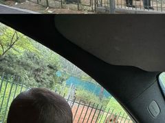 -秦皇岛野生动物园