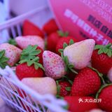 新天地新晋网红咖啡店 NOWWA挪瓦咖啡