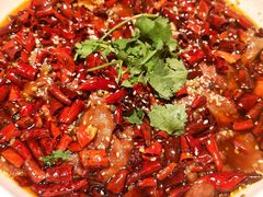 水煮牛肉-永乐饭庄(安德路店)