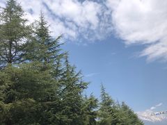 -清溪水库