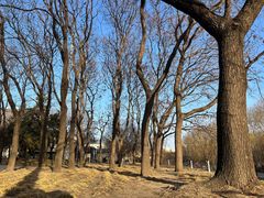 -元大都城垣遗址公园