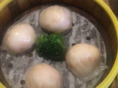 -粤港餐厅(禹州商业广场店)