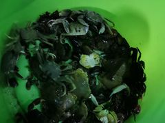 -龟龄岛