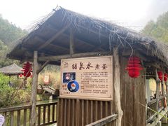 -天芳悦潭度假村温泉