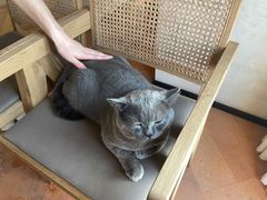 -Me Coffee下午茶艺术空间