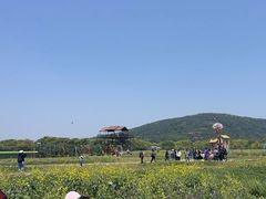 -苏州太湖西山岛开心农场