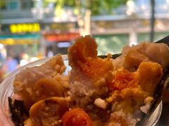 -鼎香皇高佬苏裹蒸粽