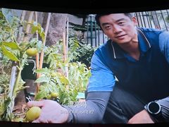 -万象影城(杭州万象城IMAX激光店)