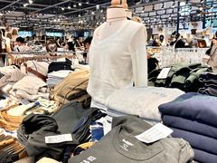 -Brandy Melville
