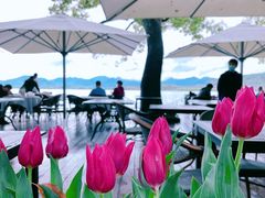 -湖畔居茶楼(湖滨店)