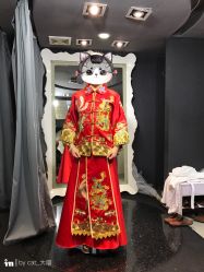 -韩国天使嫁衣婚纱礼服馆(上海旗舰店)