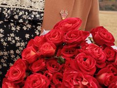 -三圣花乡旅游区