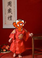 -小熊维尼高端儿童摄影(宝安旗舰店)