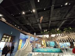 -国家自然博物馆