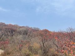 -周口店坡峰岭风景区
