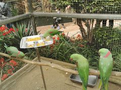 -大连森林动物园