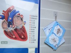 -芭比堂动物医院·心脏科·老年急重症·夜诊·吉雅分院