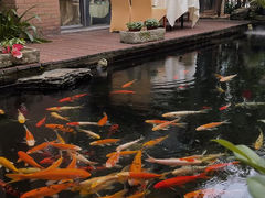 -新世纪大酒楼·30年南海菜