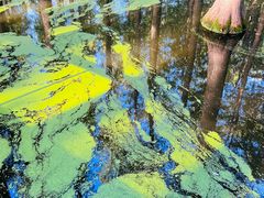 -渌洋湖湿地公园
