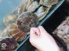 -蟹谢蒸鲜自助餐厅