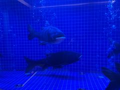 -忆江南·临江鱼馆