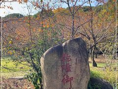 -苏州上方山国家森林公园