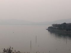 -上海市保健医疗中心