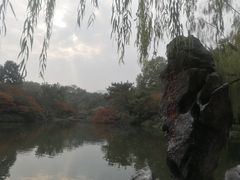 -西湖外事游船(花港观鱼码头)