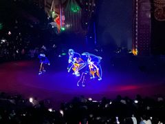 -珠海横琴长隆《卡卡虎奇遇记》
