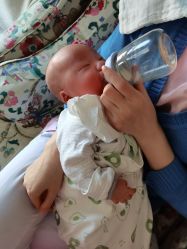 -喜月来月子会所