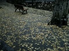 -四川大学(华西校区)