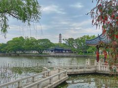 -江心屿景区
