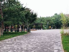 -大兴滨河森林公园