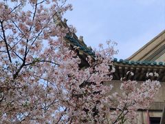 -武汉大学-樱园