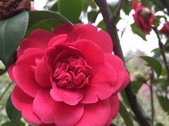 -白塘生态植物园