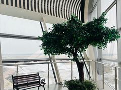 -合肥新桥国际机场-航站楼