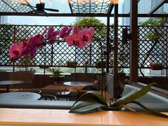 -洋洋中餐馆·SINCE 1997(信投店)
