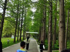 -同里国家湿地公园