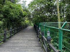 -树山生态村