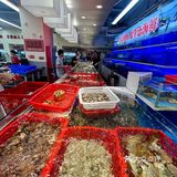 广州新开的！火锅界的萨利亚……[惊恐]3.5r起