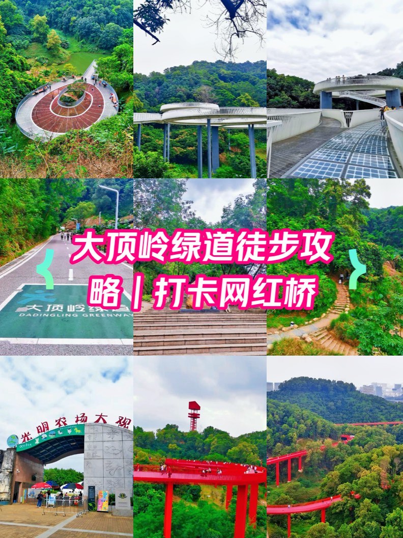 大顶岭绿道地图图片