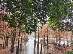 -南宁花花大世界景区