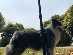 -美兰湖景区