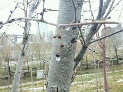-小绿谷公园