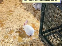 -重庆欢乐海底世界