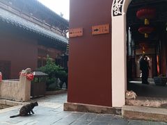 -长春观